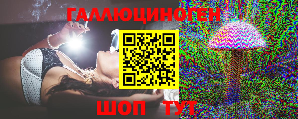 Рославль  Псилоцибиновые грибы Psilocybe  Вход с VPN 